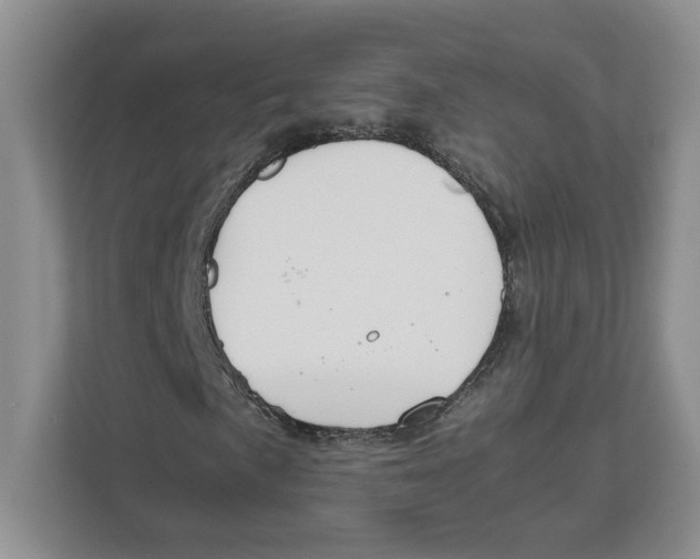 X0000111851057200908201233