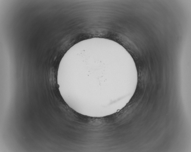 X0000111851058200908201232