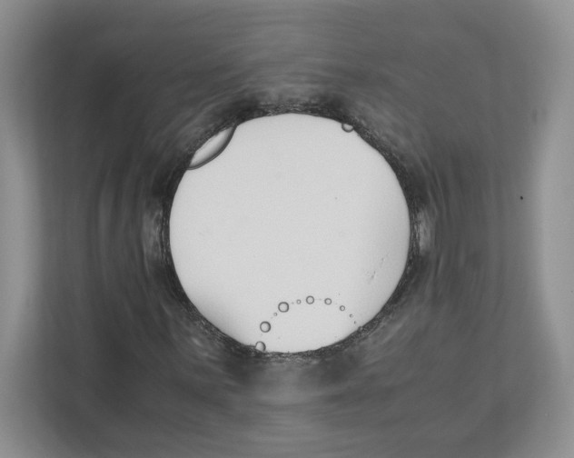 X0000111851059200908201232