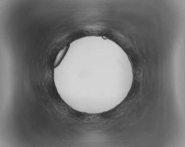 X0000111851061200908201232