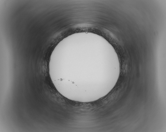 X0000111851062200908201232