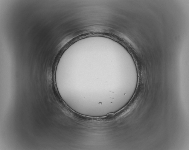 X0000111851065200908201232