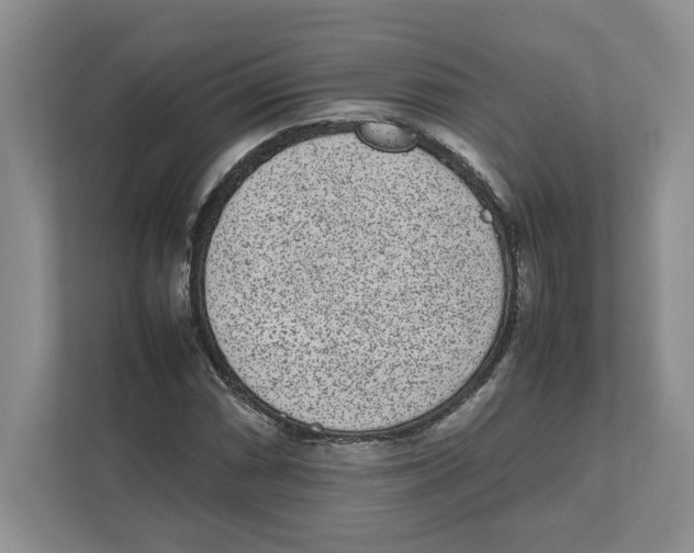 X0000111851066200908201232