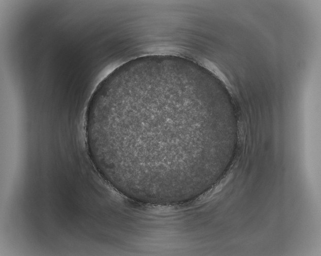 X0000111851071200908201232