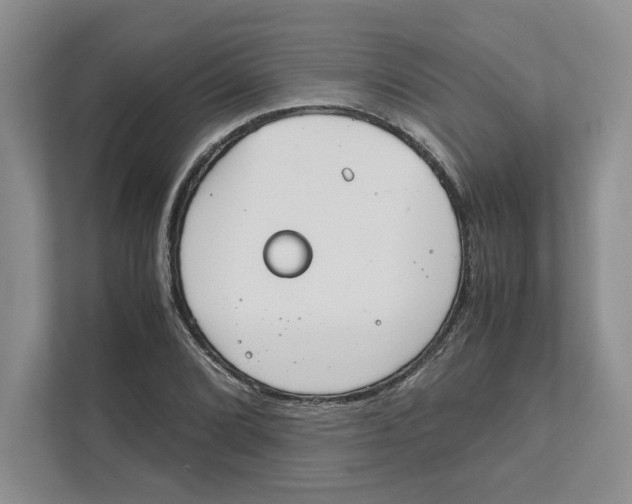 X0000111851072200908201232