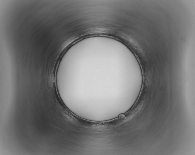 X0000111851073200908201232