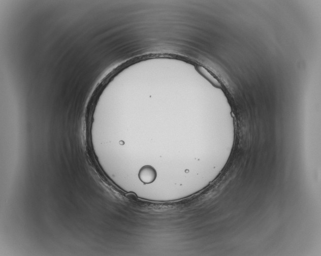 X0000111851076200908201232