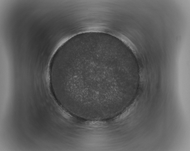 X0000111851077200908201232