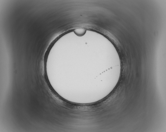 X0000111851079200908201232