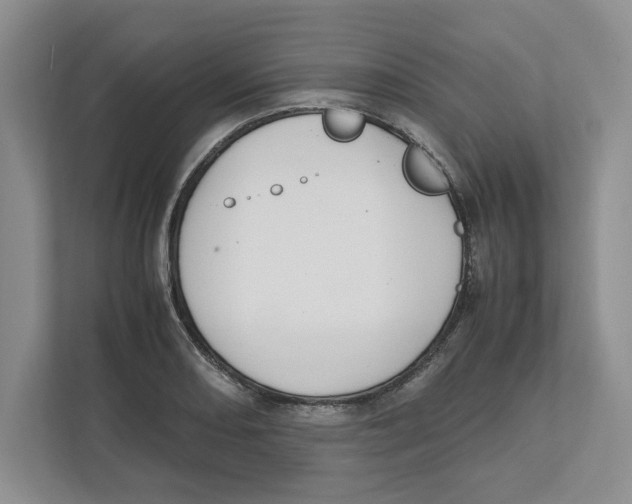 X0000111851082200908201232
