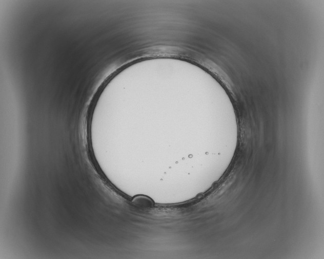 X0000111851083200908201232