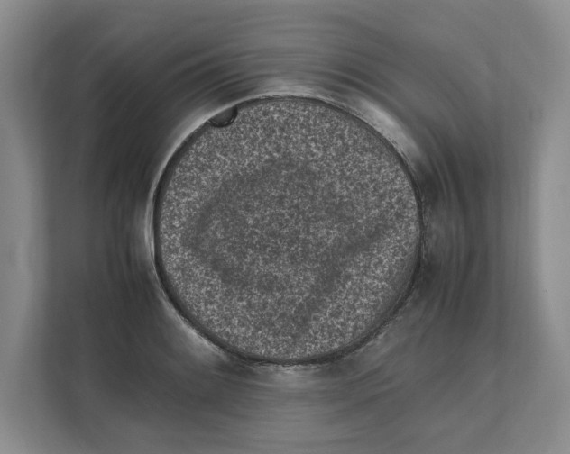 X0000111851084200908201232