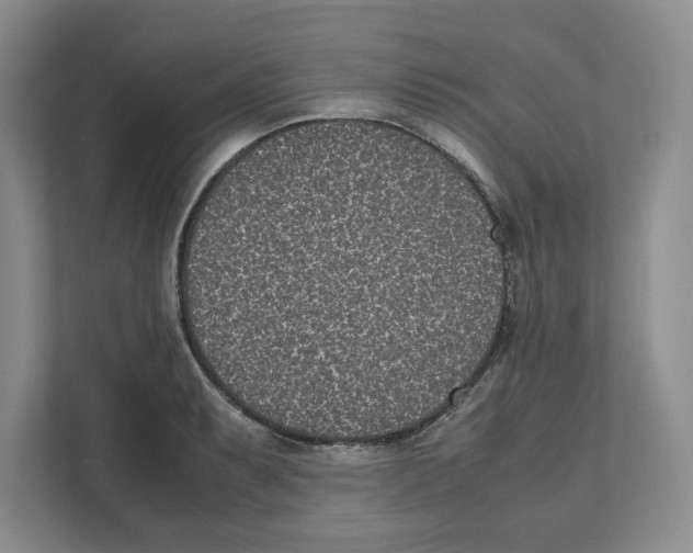 X0000111851087200908201232