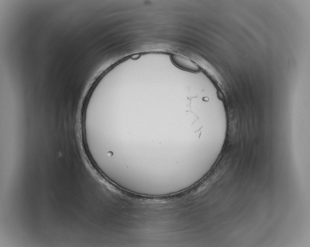 X0000111851088200908201232