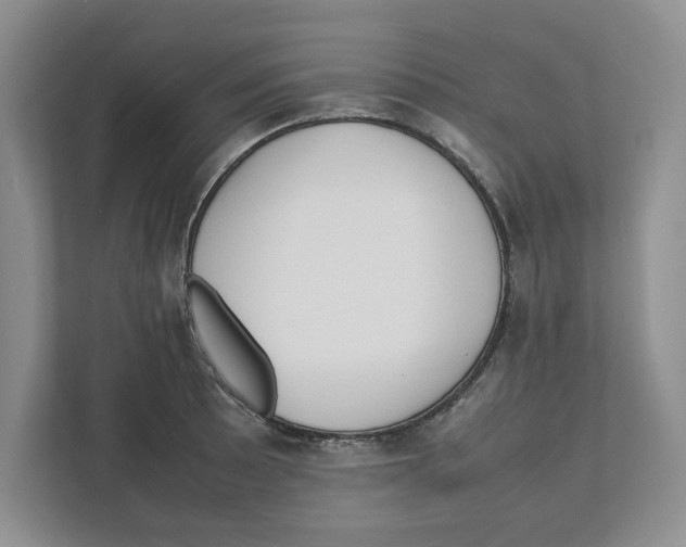 X0000111851089200908201232