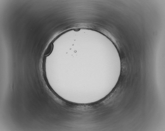 X0000111851091200908201232