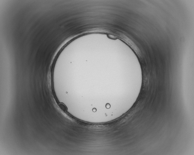 X0000111851092200908201232