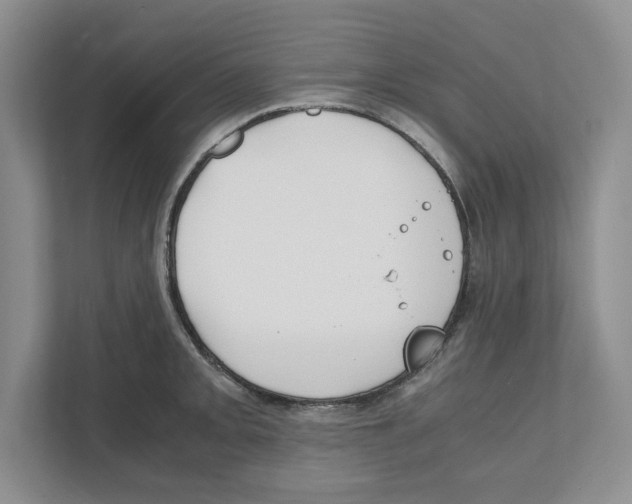 X0000111851093200908201232