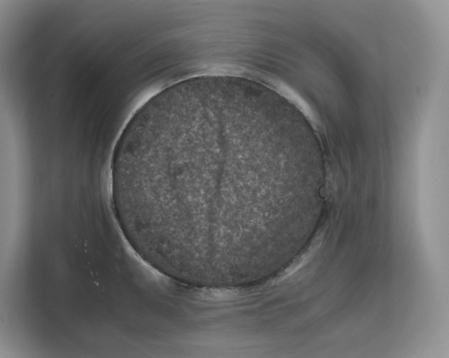 X0000111851095200908201232