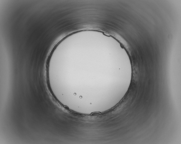 X0000111851096200908201232