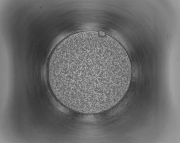 X0000111851098200908201232
