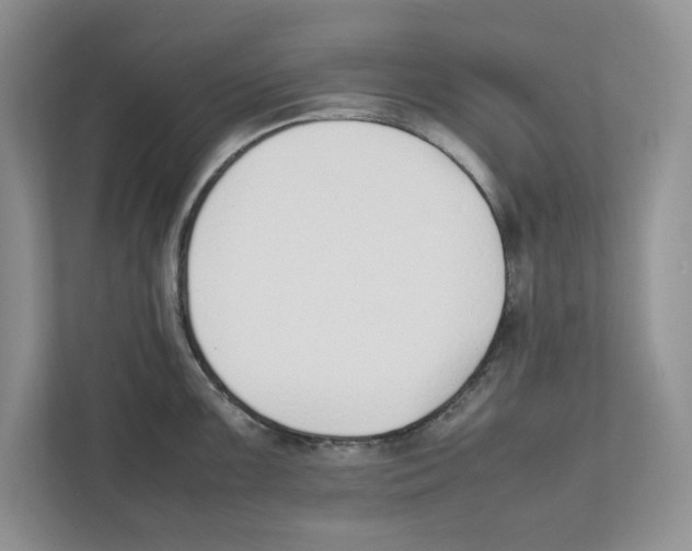 X0000111851099200908201232