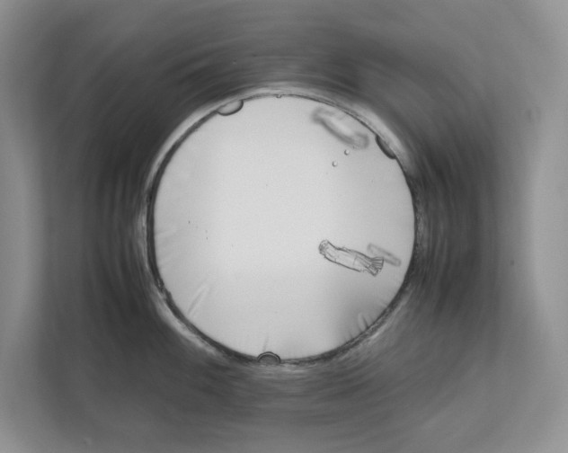X0000111851100200908201232