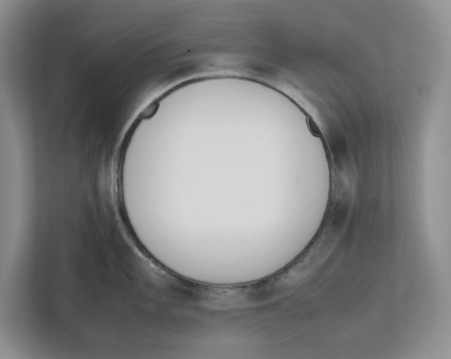 X0000111851101200908201232