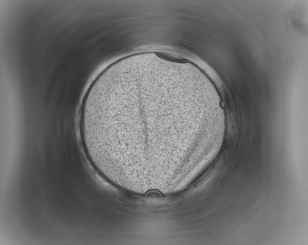 X0000111851102200908201232
