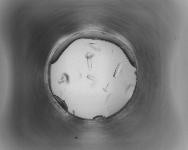 X0000111851104200908201232
