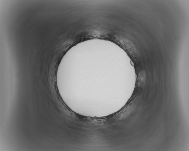 X0000111851105200908201231