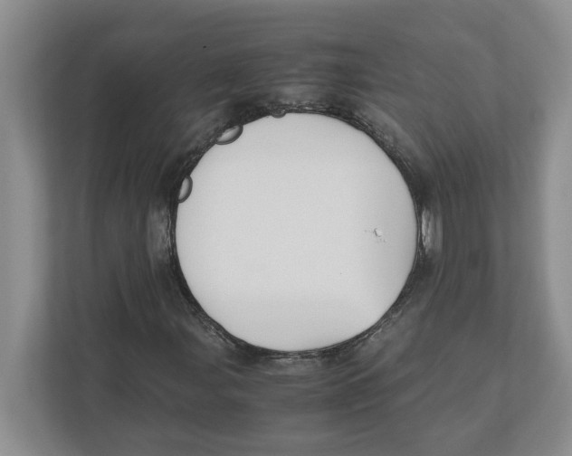 X0000111851107200908201231