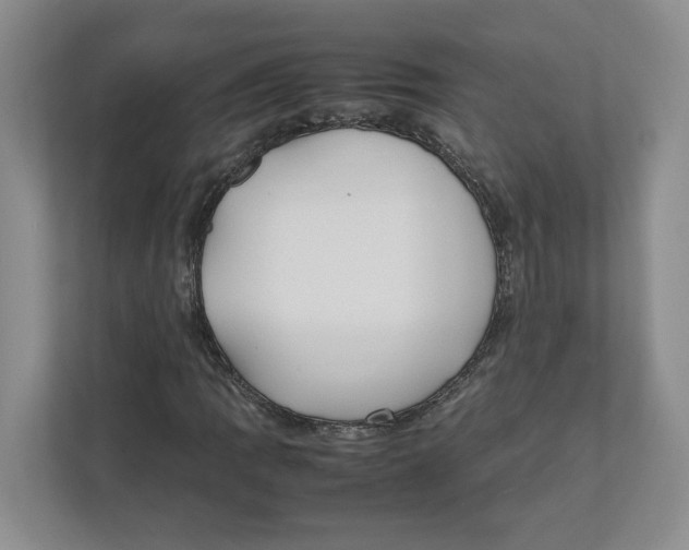 X0000111851109200908201231