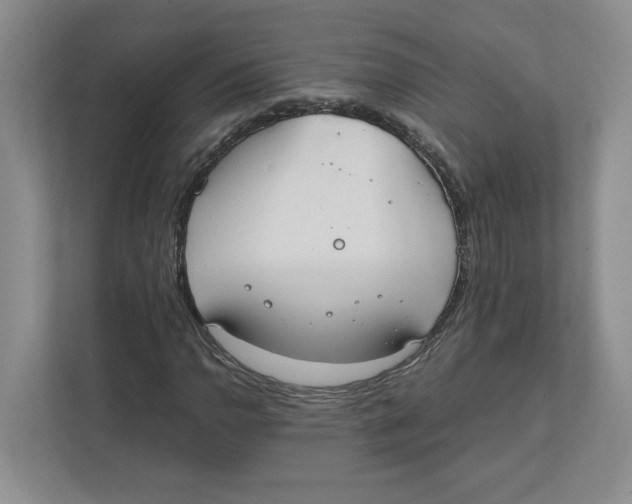 X0000111851110200908201231