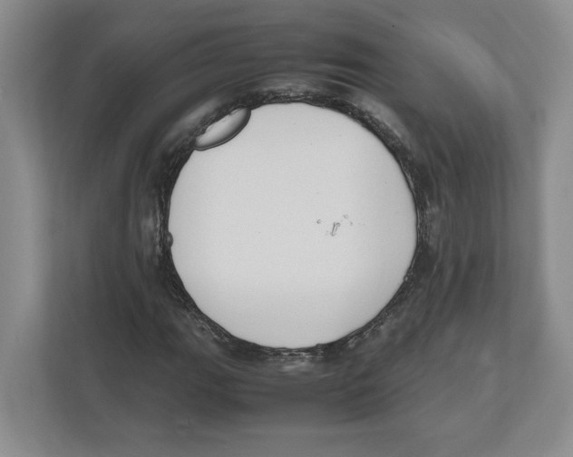 X0000111851111200908201231