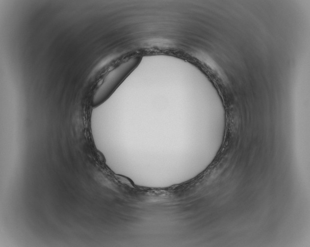 X0000111851112200908201231