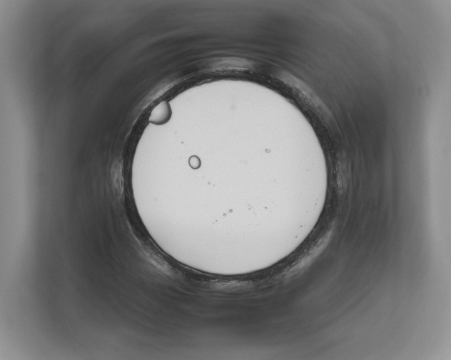 X0000111851113200908201231