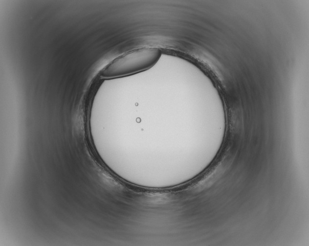 X0000111851114200908201231