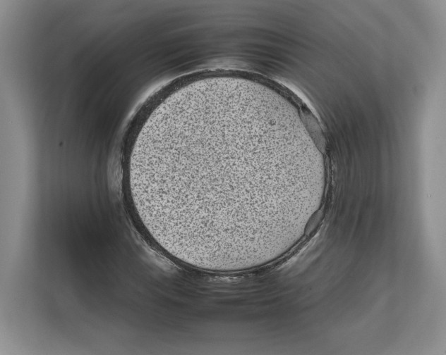 X0000111851115200908201231