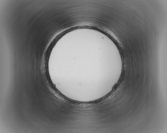 X0000111851116200908201231