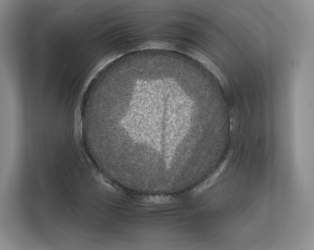 X0000111851117200908201231