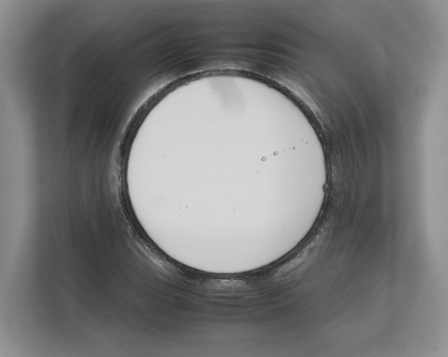 X0000111851119200908201231