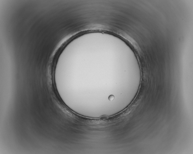 X0000111851120200908201231