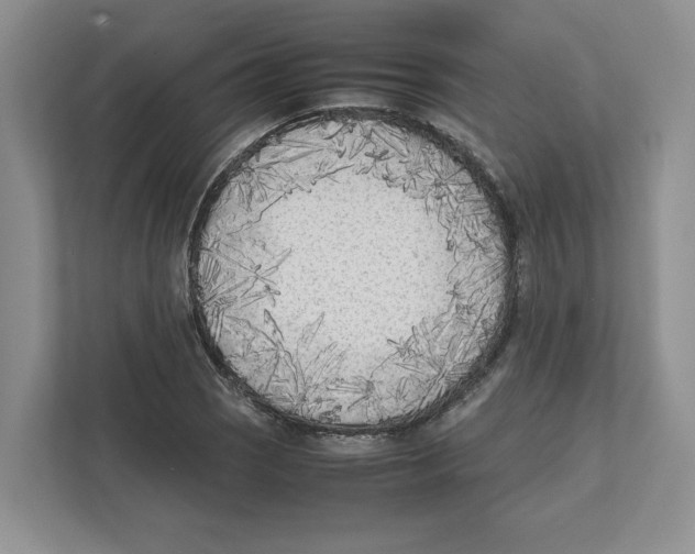 X0000111851121200908201231