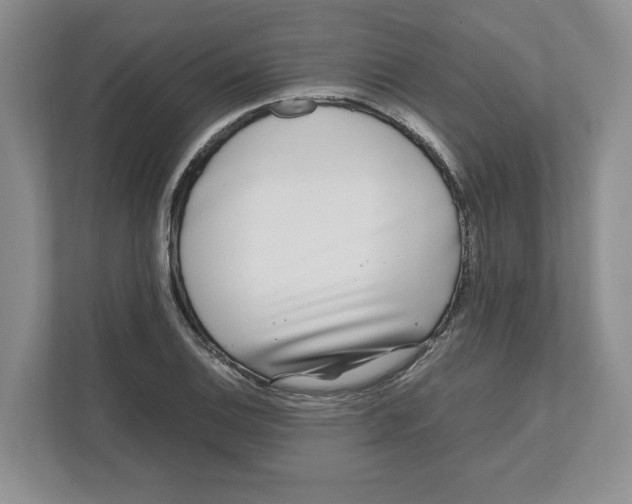 X0000111851124200908201232
