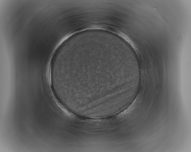 X0000111851127200908201232
