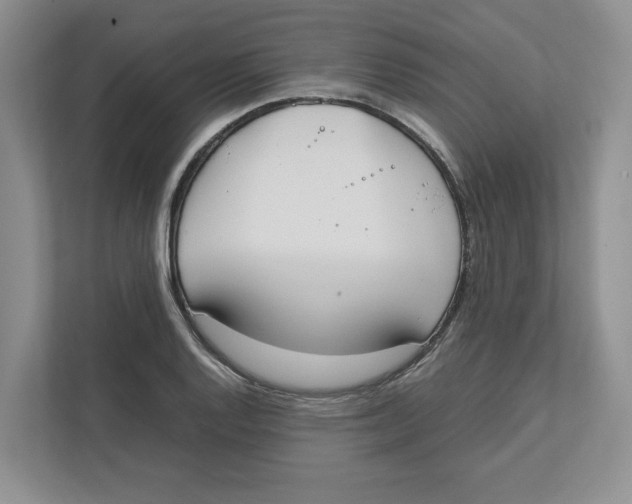 X0000111851128200908201232