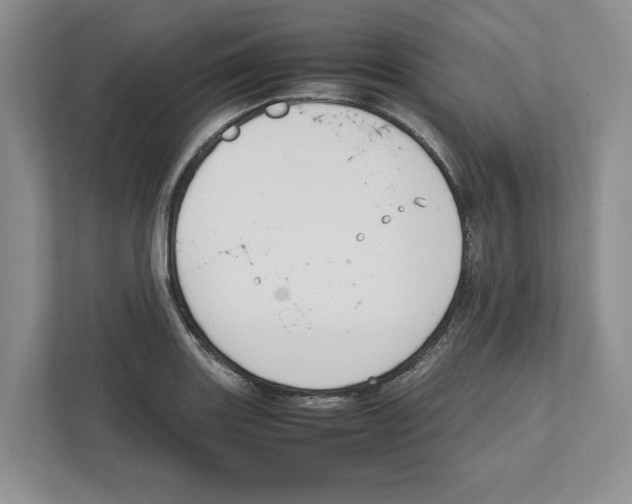 X0000111851131200908201232
