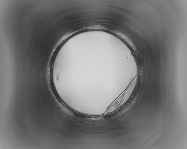 X0000111851133200908201232
