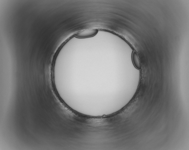 X0000111851134200908201232
